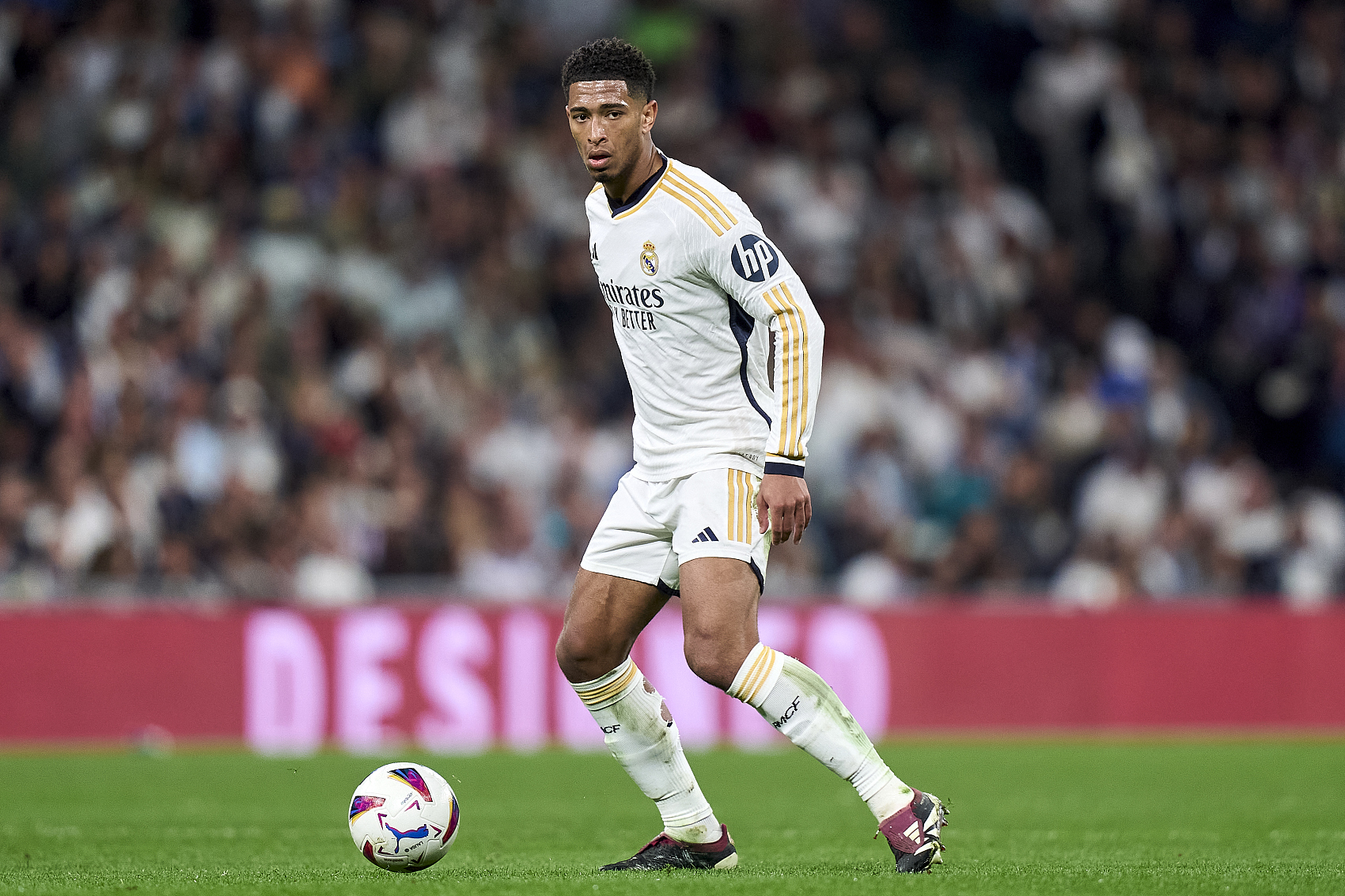 个人与球队 个人与球队